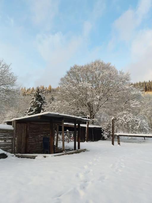 Charmante Maison De Caractere A 2Km De Redu Libin Esterno foto